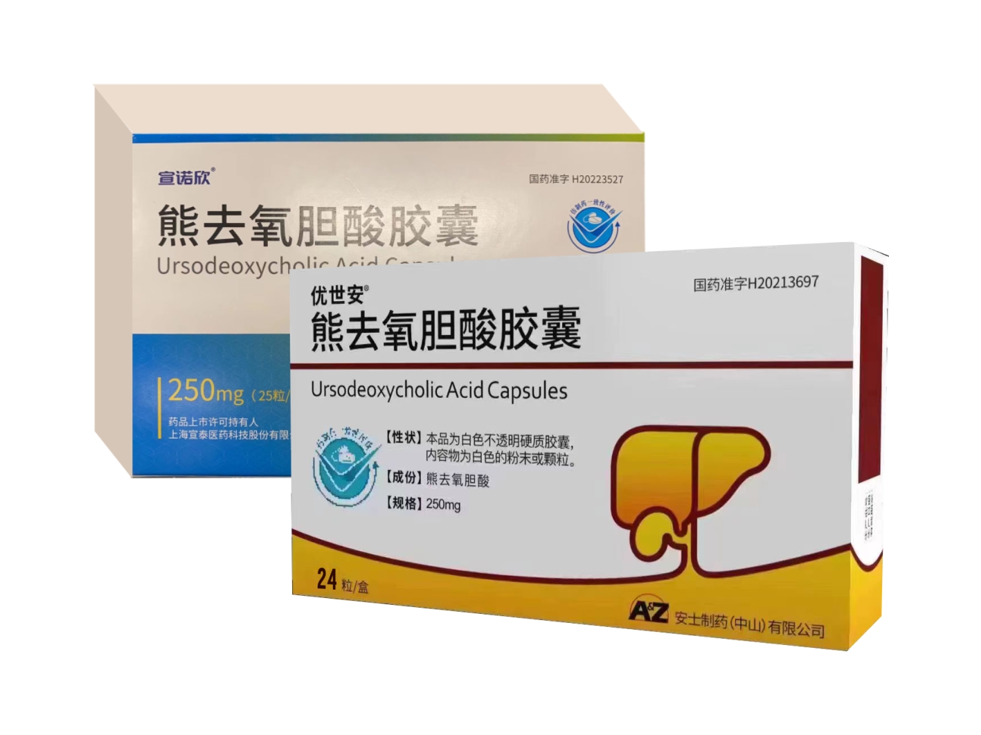 熊去氧胆酸胶囊